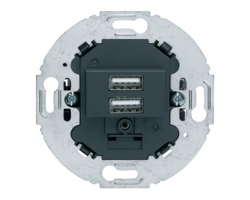 Розетка USB Berker 260215 R.classic/1930/Glas, чорний, для врізного монтажу
