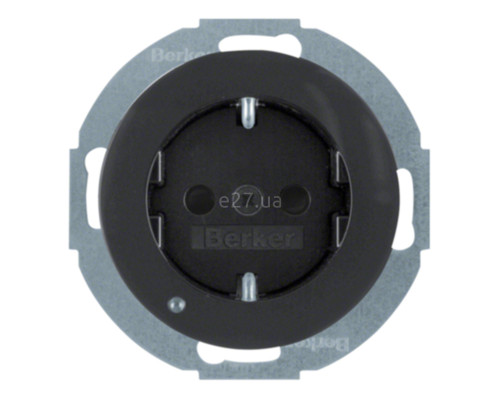 Розетка 220В Berker 41092045 R.x