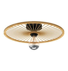 Люстра Eglo 43883 LEOMINSTER wall/ceiling light