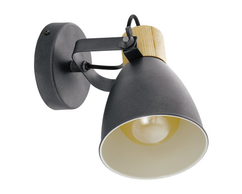 Спот Eglo 901174 Coswarth