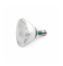 Лампа світлодіодна Faro 17400 , PAR38 10W 4000K E27, 38°