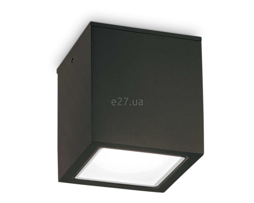 Точковий світильник Ideal Lux 251530 TECHO PL1 BIG NERO