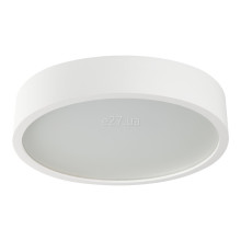 Стельовий світильник Kanlux 23126 Jasmin 270-W/M · Kanlux · kanlux-23126