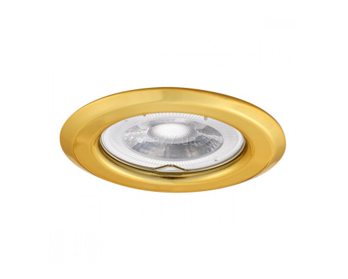 Точковий світильник Kanlux 300 Argus CT-2114-G