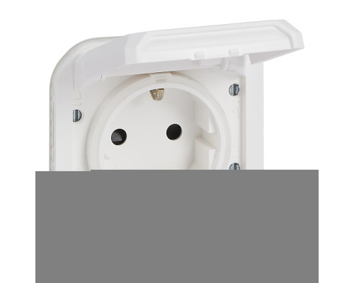 Розетка 220В Legrand 069639L PLEXO Розетка 2К+З з гвинтовими клемами механізм, колір Білий, білий, із захисною кришкою, для врізного монтажу