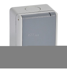 Розетка 220В Legrand 55875 Plexo, сірий