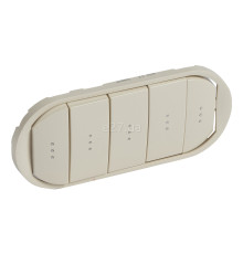 Лицьова панель Legrand 66213 Celiane, слонова кістка