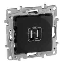 Розетка USB Legrand 672694 Etika, антрацит, пластик, для врізного монтажу