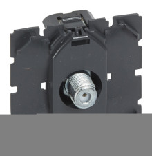 Розетка TV одиночна Legrand 67380 Celiane