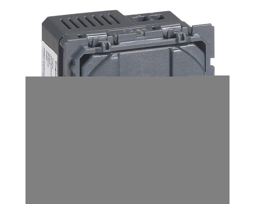 Розетка USB Legrand 67462 Celiane