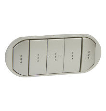 Лицьова панель Legrand 68320 Celiane, титан