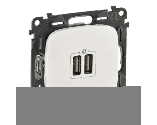 Розетка USB Legrand 754995 Valena Allure, білий, пластик, для врізного монтажу