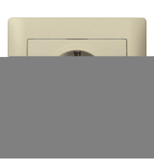 Розетка 220В Legrand 771462 Galea Life, титан, із заземленням, Schuko