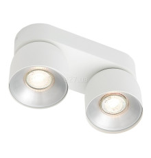 Спот Nordlux 2310410101 Pitcher 2-Spot