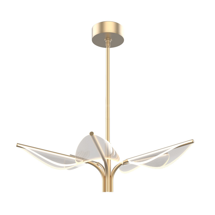 Люстра Quintiesse QN-FLORIANA-P-S-NBR Alora Floriana Floriana 5 Leaf LED Chandelier Small Natural Brass, 38 Вт, 1300 лм, 3000К · Quintiesse · quintiesse-qn-floriana-p-s-nbr