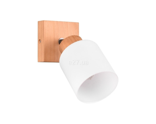 Спот Reality R81111030 Assam