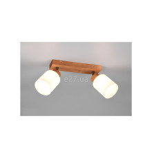 Спот Reality R81112030 Assam