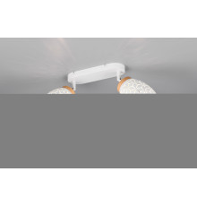 Спот Reality R81572031 Bidar