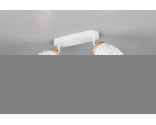 Спот Reality R81572031 Bidar