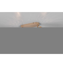 Спот Reality R81572065 Bidar