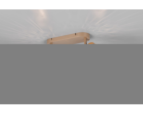 Спот Reality R81572065 Bidar