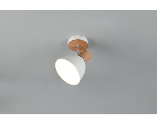 Спот Reality R86671031 Delume