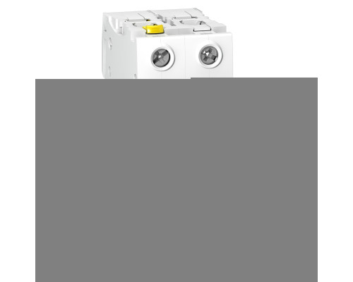 Автоматичний вимикач Schneider Electric A9F04206 Acti9 IC60N, 2P, 6A, 10kA, на DIN-рейку
