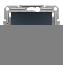 Вимикач двополюсний Schneider Electric EPH0200171 Asfora, антрацит, пластик, без підсвітки та індикації, для врізного монтажу