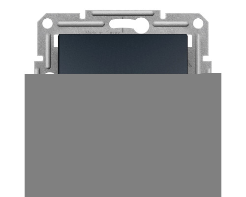 Вимикач двополюсний Schneider Electric EPH0200171 Asfora, антрацит, пластик, без підсвітки та індикації, для врізного монтажу