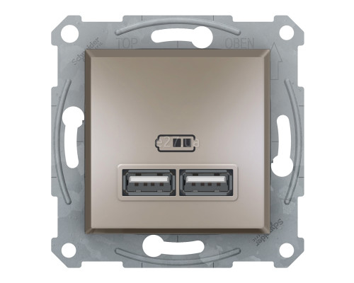 Розетка USB Schneider Electric EPH2700269 Asfora, бронза, пластик, для врізного монтажу