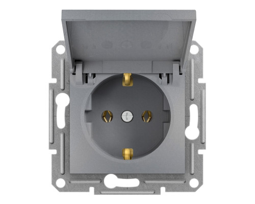 Розетка 220В Schneider Electric EPH3100162 Asfora, сталь, пластик, із заземленням, Schuko, із захисною кришкою, без шторок, для врізного монтажу