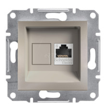 Розетка комп'ютерна Schneider Electric EPH4700169 Asfora, бронза, пластик, для врізного монтажу