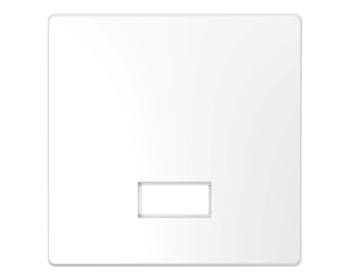 Лицьова панель з полем для напису Schneider Electric MEG3350-6035 Merten System D, білий лотос