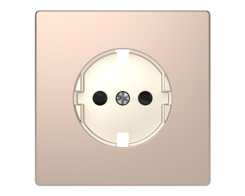 Лицьова панель розетки 220В Schneider Electric MTN2330-6051 Merten D-Life, шампань, метал