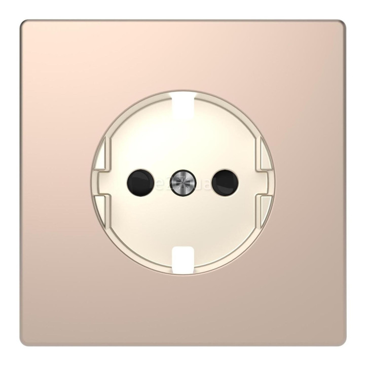 Лицьова панель розетки 220В Schneider Electric MTN2330-6051 Merten D-Life, шампань, метал · Schneider Electric · schneider-electric-mtn2330-6051
