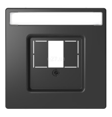 Лицьова панель Schneider Electric MTN4250-6034 Merten D-Life, антрацит, пластик