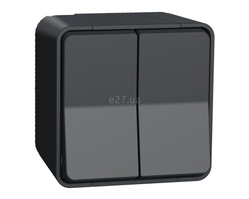Перемикач прохідний 2-клавішний Schneider Electric MUR35022 Mureva Styl, чорний, пластик, ip55, без підсвітки та індикації, для накладного монтажу