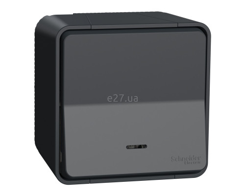 Перемикач прохідний 1-клавішний Schneider Electric MUR35024 Mureva Styl, чорний, пластик, ip55, з підсвіткою чи індикацією, для накладного монтажу