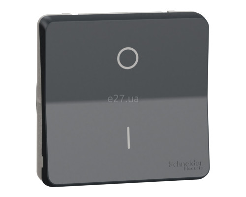 Вимикач двополюсний Schneider Electric MUR35034 Mureva Styl, чорний, пластик, ip55, без підсвітки та індикації