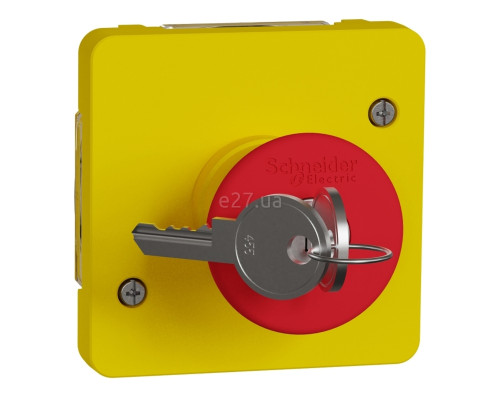 Вимикач з ключем Schneider Electric MUR35052 Mureva Styl, жовтий, пластик, ip55