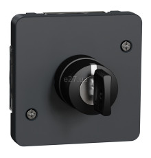 Вимикач з ключем Schneider Electric MUR35061 Mureva Styl, чорний, пластик, ip55