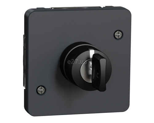 Вимикач з ключем Schneider Electric MUR35061 Mureva Styl, чорний, пластик, ip55