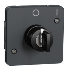 Вимикач з ключем Schneider Electric MUR35062 Mureva Styl, чорний, пластик, ip55