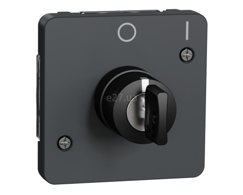 Вимикач з ключем Schneider Electric MUR35062 Mureva Styl, чорний, пластик, ip55