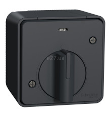 Вимикач з таймером Schneider Electric MUR35067 Mureva Styl, чорний, пластик, ip55, для накладного монтажу