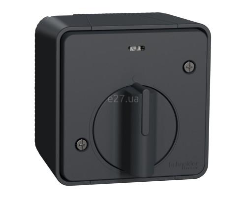 Вимикач з таймером Schneider Electric MUR35067 Mureva Styl, чорний, пластик, ip55, для накладного монтажу