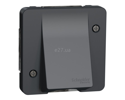 Кабельний вивід Schneider Electric MUR37931 Mureva Styl, чорний, пластик, ip55
