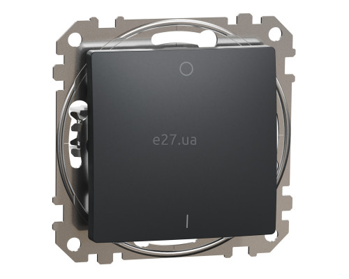 Вимикач двополюсний Schneider Electric SDD114102 Sedna Design, 10A, чорний, пластик, ip20, 1 клавіша, без підсвітки та індикації, для врізного монтажу