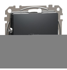 Заглушка Schneider Electric SDD114904 Sedna Design, чорний, пластик, для врізного монтажу