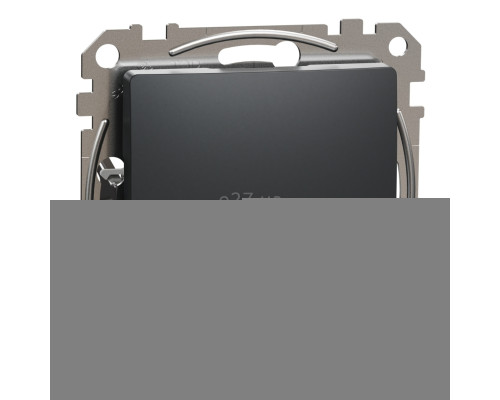 Заглушка Schneider Electric SDD114904 Sedna Design, чорний, пластик, для врізного монтажу